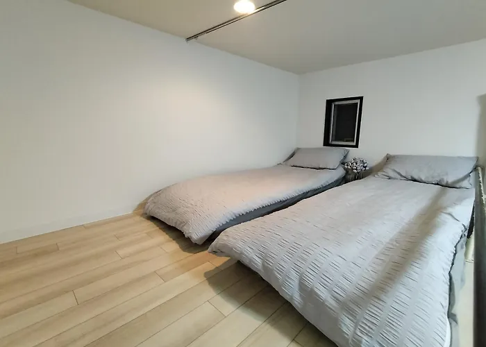D新宿最中心 两室 新大久保站5分-2 Rooms Shinjuku Center 5 Mins To St Max 4P 新宿 涉谷 表参道 池袋 上野 代代木 银座 原宿